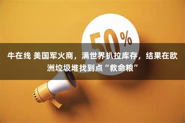 牛在线 美国军火商，满世界扒拉库存，结果在欧洲垃圾堆找到点“救命粮”