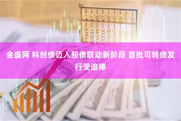 金盛网 科创债迈入股债联动新阶段 首批可转债发行受追捧