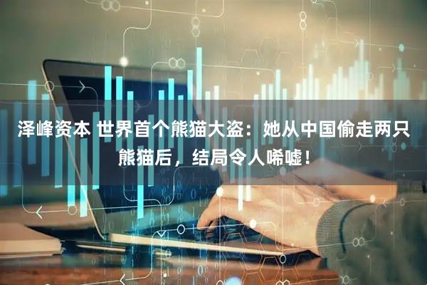 泽峰资本 世界首个熊猫大盗：她从中国偷走两只熊猫后，结局令人唏嘘！