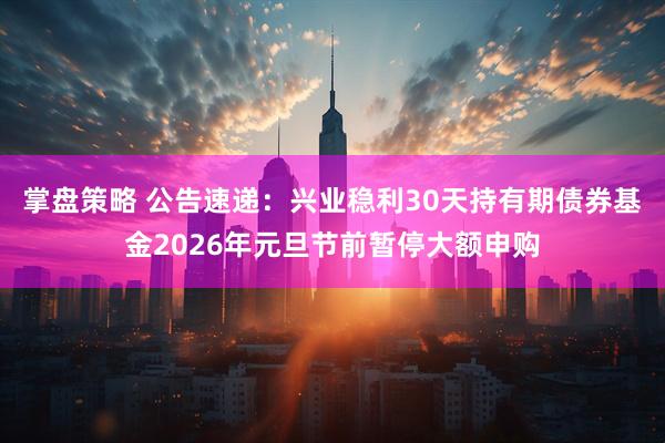 掌盘策略 公告速递：兴业稳利30天持有期债券基金2026年元旦节前暂停大额申购