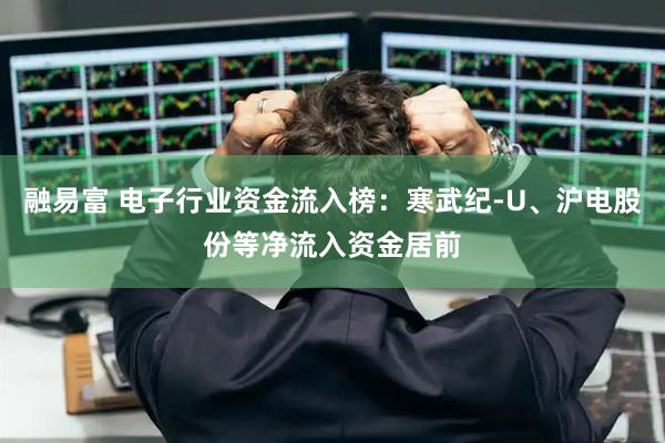 融易富 电子行业资金流入榜：寒武纪-U、沪电股份等净流入资金居前