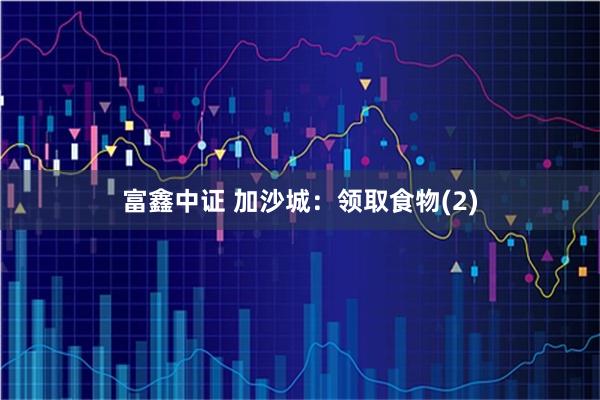 富鑫中证 加沙城：领取食物(2)